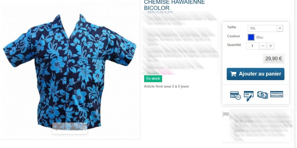copie-chemise-hawaienne