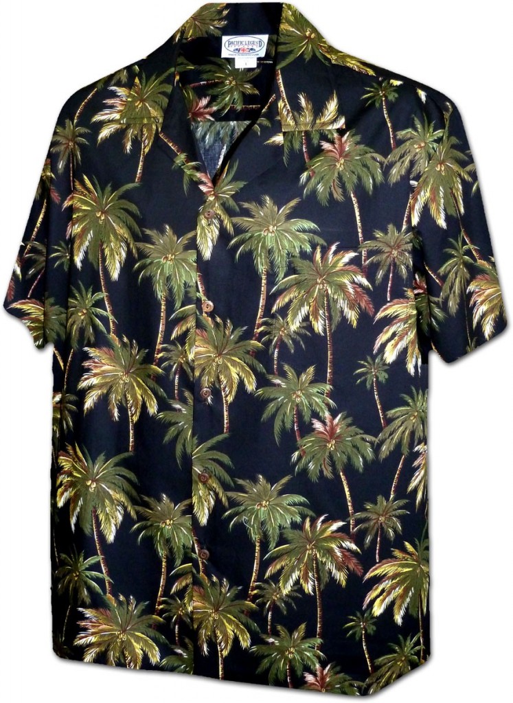 chemise-hawaienne-p1